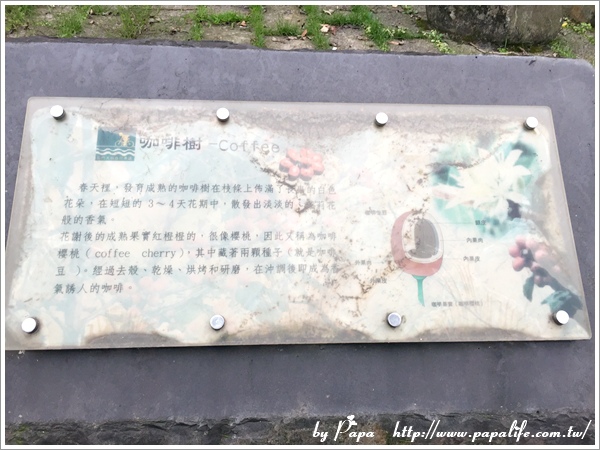 IMG_5464.jpg IMG_5464.jpg