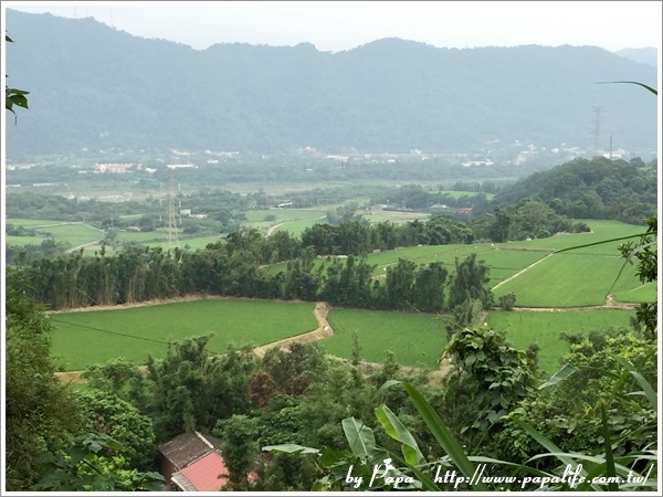 IMG_5461.jpg IMG_5461.jpg