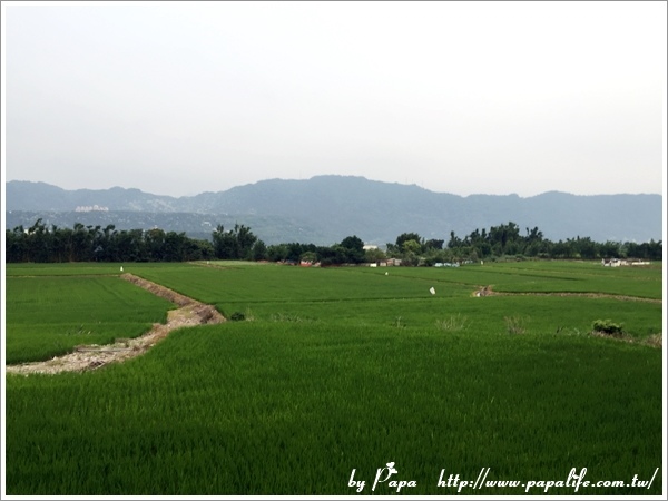 IMG_5494.jpg IMG_5494.jpg