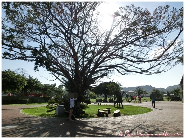 CIMG5063.jpg CIMG5063.jpg