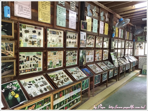 IMG_9135.jpg IMG_9135.jpg