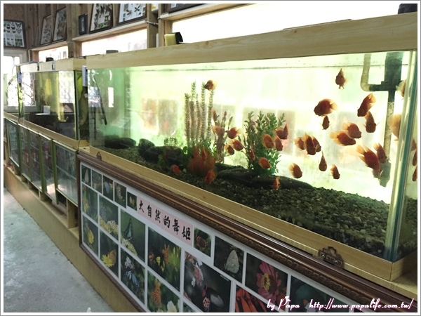 IMG_9140.jpg IMG_9140.jpg