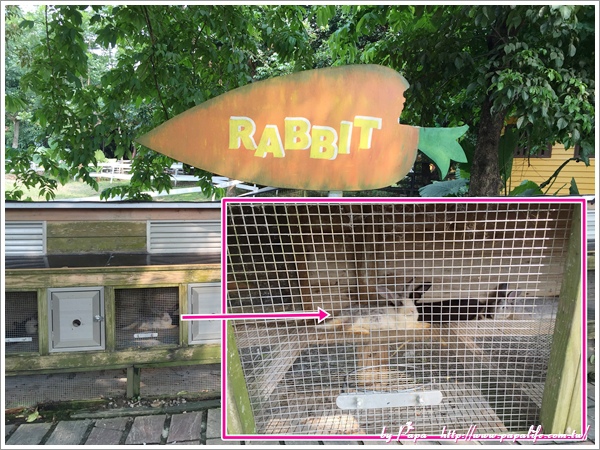 IMG_9188.jpg IMG_9188.jpg