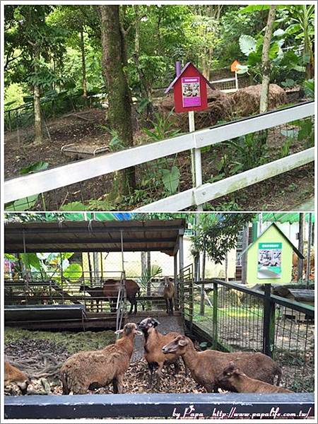 page11.jpg page11.jpg