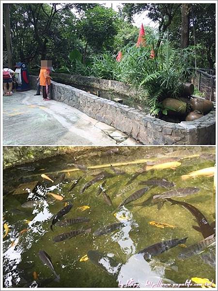 page15.jpg page15.jpg