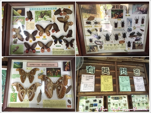 page18.jpg page18.jpg