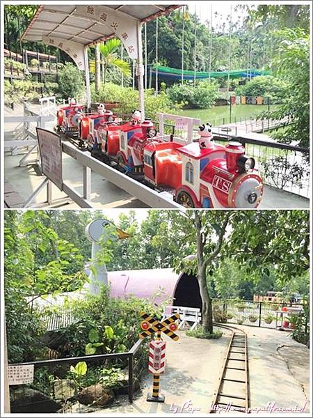 page19.jpg page19.jpg