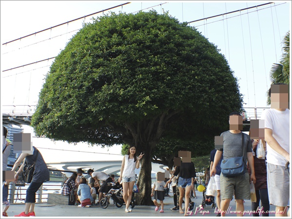 _MG_5636.jpg _MG_5636.jpg