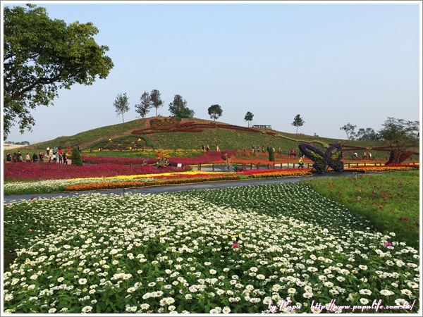 IMG_7122.jpg IMG_7122.jpg