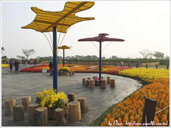 IMG_7136.jpg IMG_7136.jpg