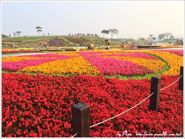 IMG_7124.jpg IMG_7124.jpg