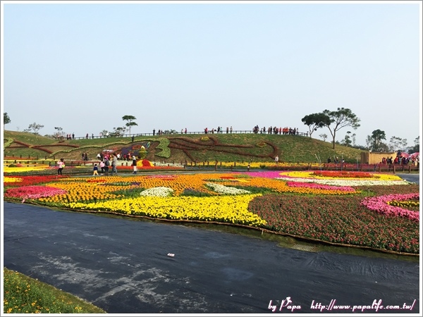 IMG_7127.jpg IMG_7127.jpg