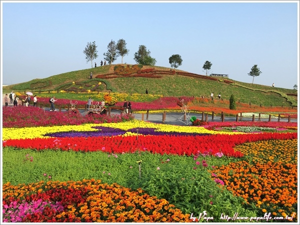 IMG_7183.jpg IMG_7183.jpg