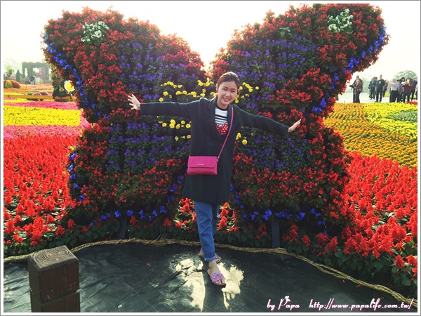 IMG_7193.jpg IMG_7193.jpg