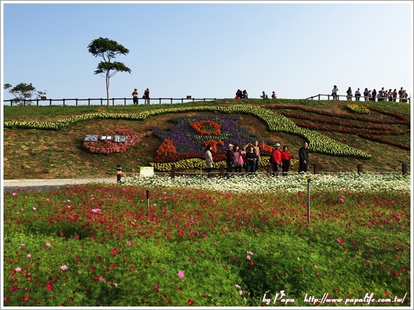 IMG_7194.jpg IMG_7194.jpg