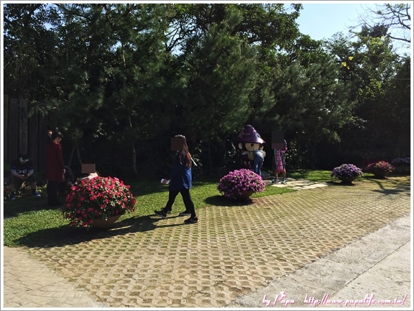 IMG_6586.jpg IMG_6586.jpg