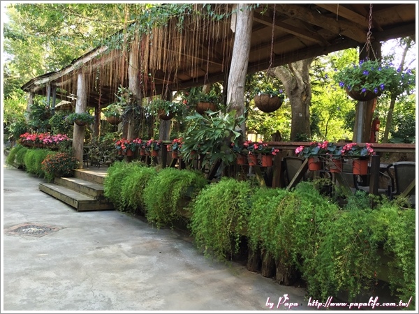 IMG_6608.jpg IMG_6608.jpg