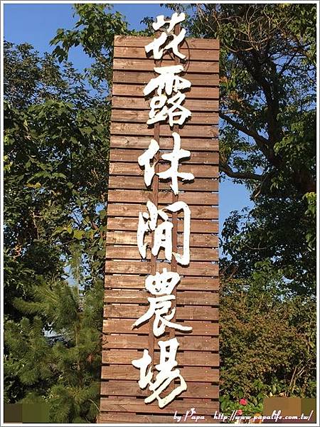 IMG_6774.jpg IMG_6774.jpg