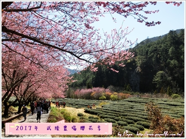 CIMG6696.JPG CIMG6696.JPG