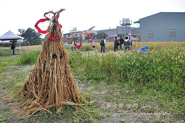 麥田文化生活圈活動