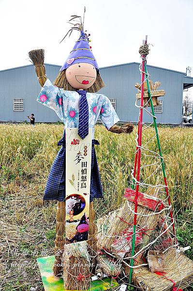 麥田文化生活圈活動