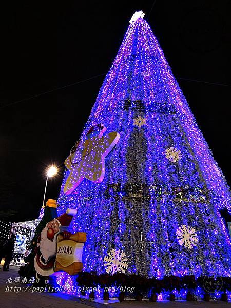 台中市政府前廣場聖誕樹