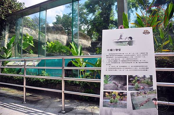 臺北動物園的水獺說明牌