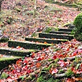 大雪山森林遊樂區小木屋區