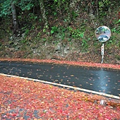 大雪山森林遊樂區內鞍馬山段林道