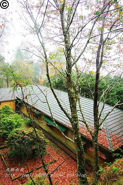 大雪山森林遊樂區第二賓館