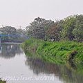 [彰化‧埤頭] 東螺溪(舊濁水溪)埤頭段沿岸苦楝花