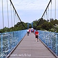 [苗栗‧銅鑼] 九華山天空步道油桐花