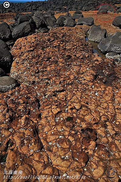 金門烈嶼青岐玄武岩海岸