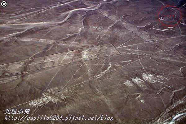 [秘魯]納斯卡線(Nazca lines )