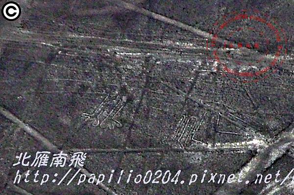 [秘魯]納斯卡線(Nazca lines )