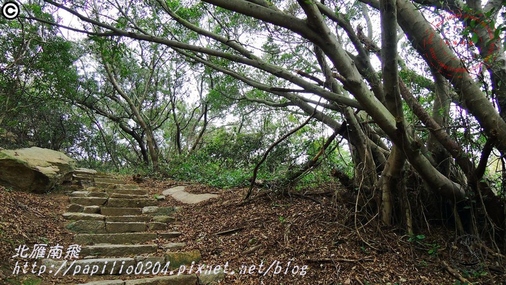 五虎山登山步道山后聚落段