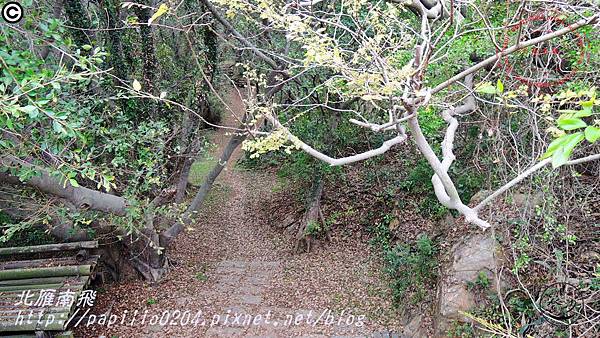 五虎山登山步道眺望台