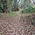 五虎山登山步道山西段(登山口)