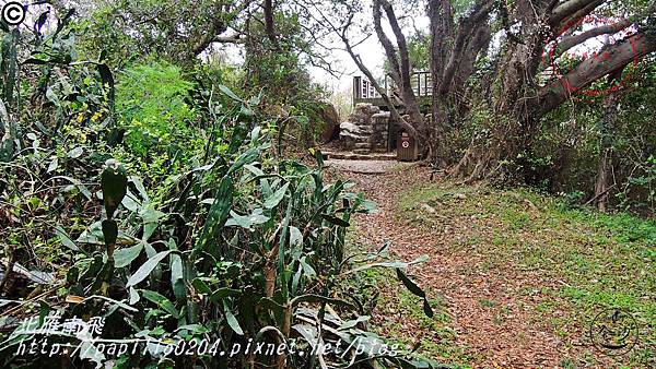 五虎山登山步道山西段(登山口)