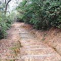 五虎山登山步道山西段(登山口)