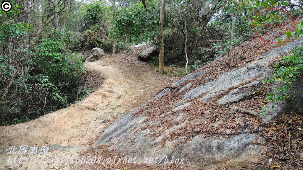 五虎山登山步道山西段(登山口)