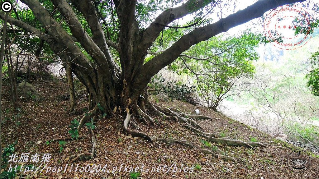 五虎山登山步道山西段(登山口)