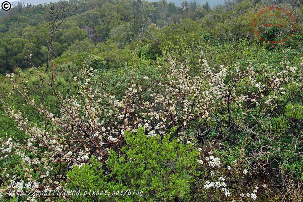 DSC_0138 DSC_0138
