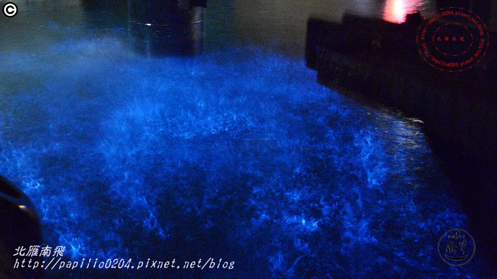 DSC_1690.JPG DSC_1690.JPG