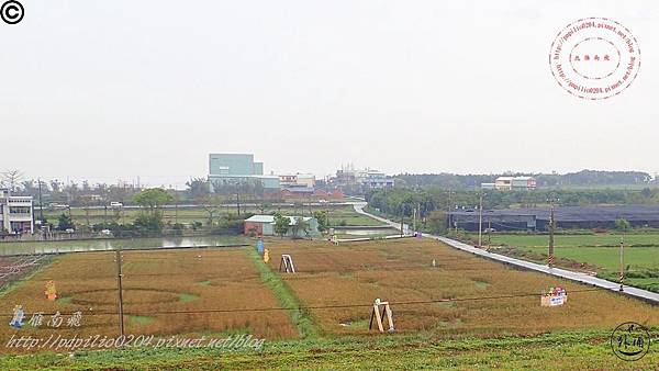 2016幽浮麥樂文化季外埔區三崁里小麥田-046.JPG