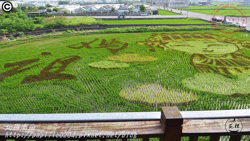 2016苑裡稻田彩繪Q版媽祖01.JPG 2016苑裡稻田彩繪Q版媽祖01.JPG