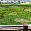 2016苑裡稻田彩繪Q版媽祖01.JPG