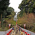 京都醍醐寺醍醐之花見