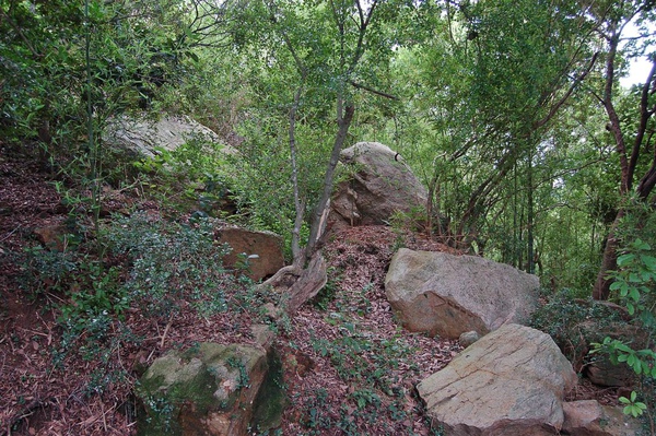 金門珠山濯岩遺跡