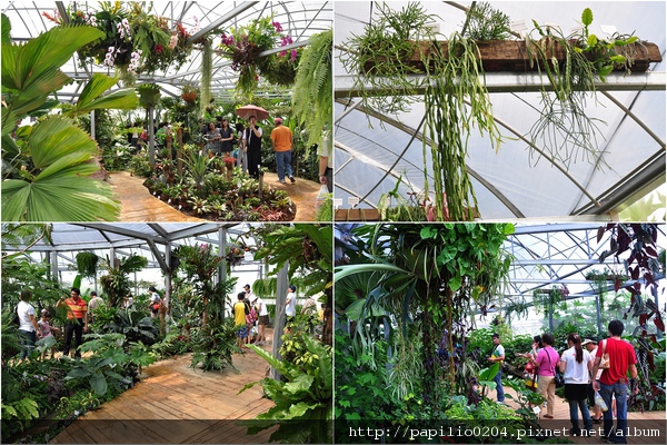 植物生態館-雨林